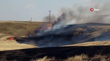 Diyarbakır'da arazi kavgası: Tarlalar ateşe verildi, 8 ölü çok sayıda yaralı!