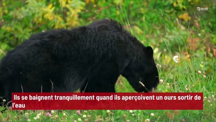 'Je suppose qu'il est aussi en vacances ! ' : Ils se baignent tranquillement quand ils aperçoivent un ours sortir de l’eau