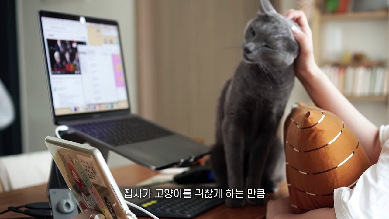 ☁️ Come Play With Me! [ENG SUB]