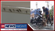 DOH pinaigting pa ang laban kontra dengue ngayong tag-ulan