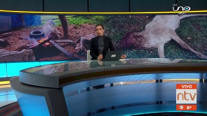 Fegasacruz teme que inundaciones y heladas afecten al ganado