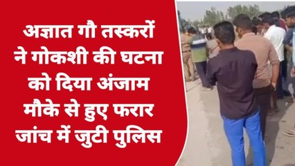 बदायूं में बीती रात गौ तस्करों ने गोकशी की घटना को दिया अंजाम मचा हड़कंप जांच में जुटी पुलिस