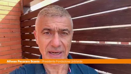 Pecoraro Scanio "La tutela dell'ambiente nello statuto comune irpino"