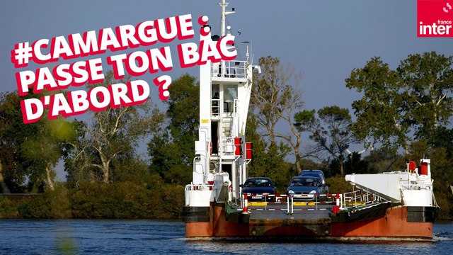 « Luttes » A Port-Saint-Louis-du-Rhône : les défenseurs du bac de Barcarin et les pro projet de pont