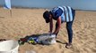 Sixth form students take part in Hartlepool beach clean