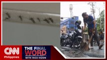 Metro Manila cities ramp up efforts against dengue