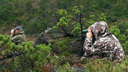MeatEater - Deer the Hard Way Prince of Wales Island