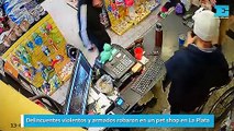 Delincuentes violentos y armados robaron en un pet shop en La Plata