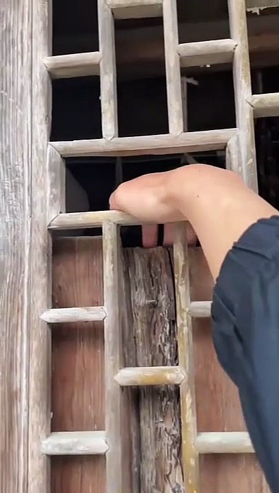 cat Cutest thing you'll see today