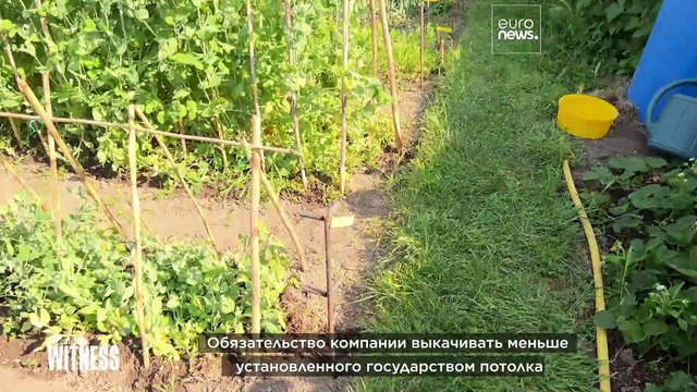 Во Франции делят воду: группу Volvic подозревают в иссушении источников