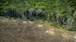 Satellites, drones, IA... comment le Brésil traque les déforestations illégales en Amazonie