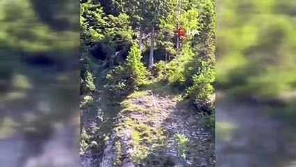 2 turist kadın 50 metrelik uçurumdan aşağı atıldı!