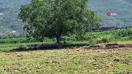 Le corps d'une vieille femme retrouvé quelques jours après sa mort