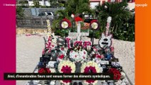 Johnny Hallyday aurait eu 80 ans : sa tombe à Saint-Barthélemy magnifiquement refleurie pour lui rendre hommage