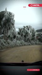 Download Video: Lluvias, heladas y nevadas: el clima golpea la producción agrícola en el país