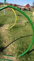 Enchanted Valley Acres Cross Plains, WI 2022