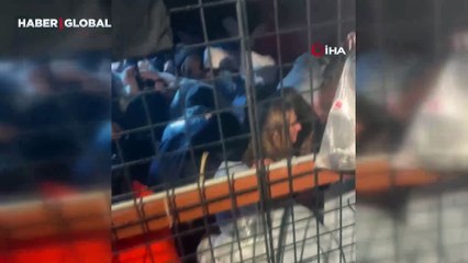 Gittikleri konser zehir oldu: Kafalarına taş yağar gibi dolu yağdı, 87 kişi böyle yaralandı!