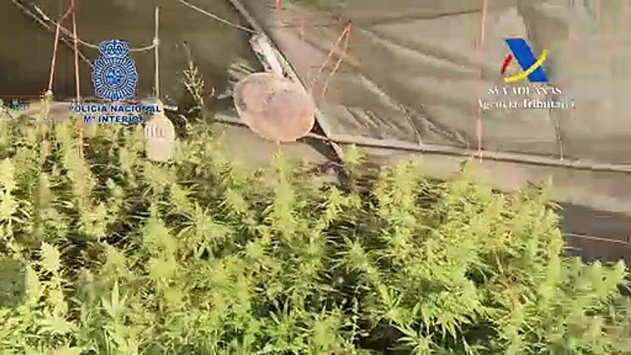 Operación Airborne de la Policía Nacional