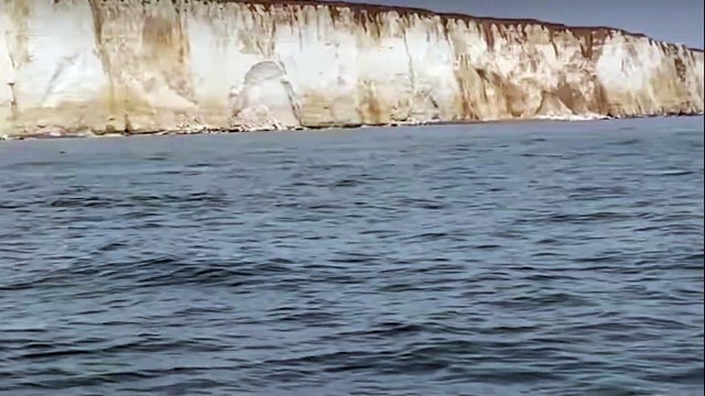 Sussex Boat Trips Dolphin sighting