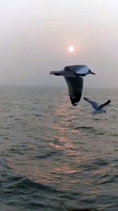 Kon Pochta Hai