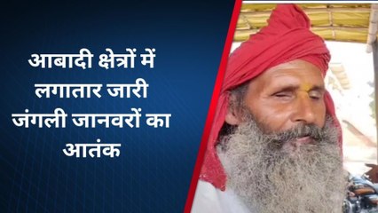 बहराइच: आबादी क्षेत्रों में लगातार दस्तक दे रहे जंगली जानवर, दहशत में ग्रामीण