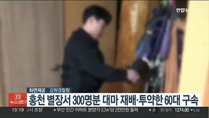 홍천 별장서 300명분 대마 재배·투약한 60대 구속
