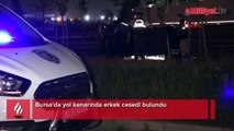 Bursa'da yol kenarında erkek cesedi bulundu