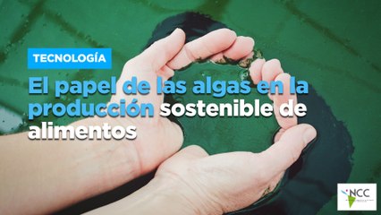 El papel de las algas en la producción sostenible de alimentos