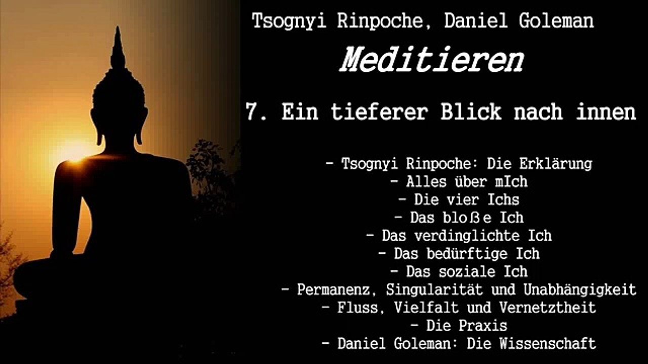 7. Ein tieferer Blick nach innen - Meditieren - Tsognyi Rinpoche, Daniel Goleman