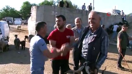 Diyarbakır'da Kurbanlık Hayvan Pazarı Hareketlendi