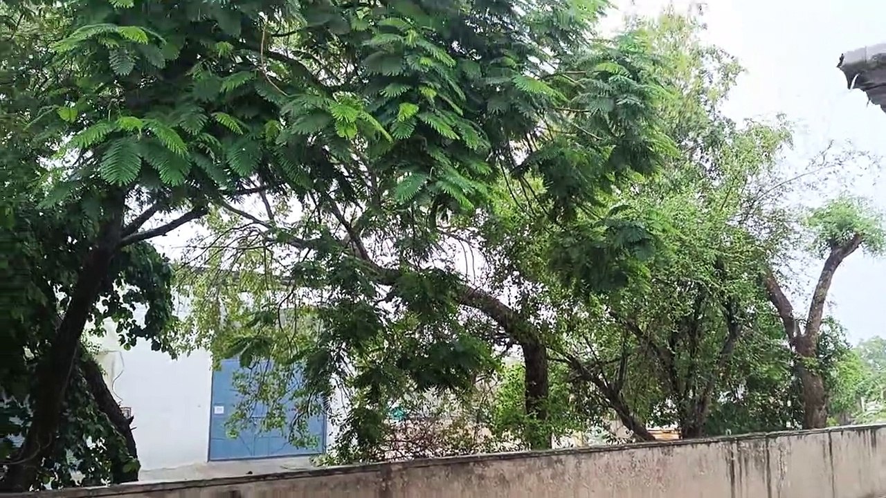 Cyclone Biparjoy live Update : चक्रवाती तूफान स...