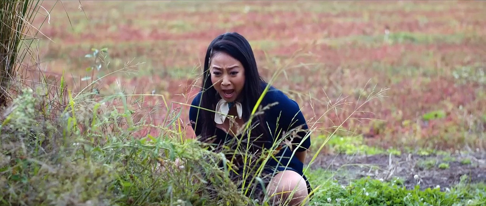 Joy ride - the trip trailer ov