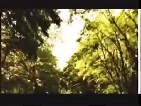 Promenons-nous dans les bois Bande-annonce (EN)