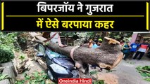 Cyclone Biparjoy: Gujarat में उखड़ गए पेड़, NDRF का रेस्क्यू ऑपरेशन जारी| वनइंडिया हिंदी #Shorts