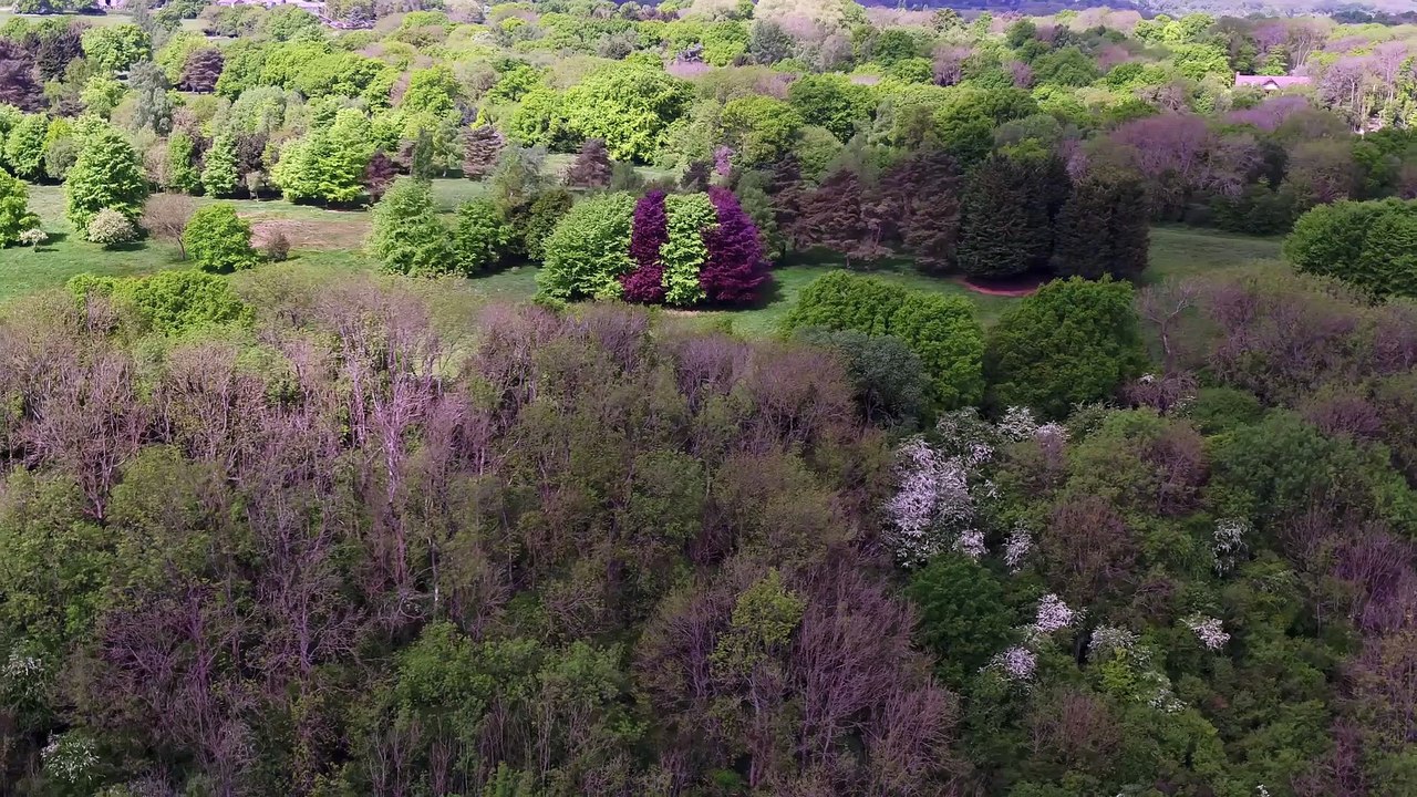 Aerial footage of Heather Corrie Vale, a former abandoned golf course being 'rewilded' by Kent Wildlife Trust near West Kingsdown