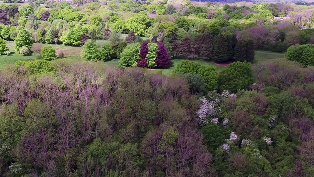 Aerial footage of Heather Corrie Vale, a former abandoned golf course being 'rewilded' by Kent Wildlife Trust near West Kingsdown