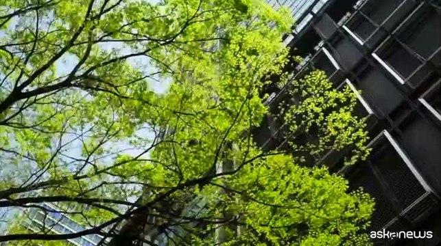 GBC Italia presenta Impact Report edilizia sostenibile certificata