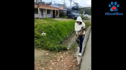 Stuck In A Dirty Drainage, He Just Looked At All People Passed By Hope They Can Help...