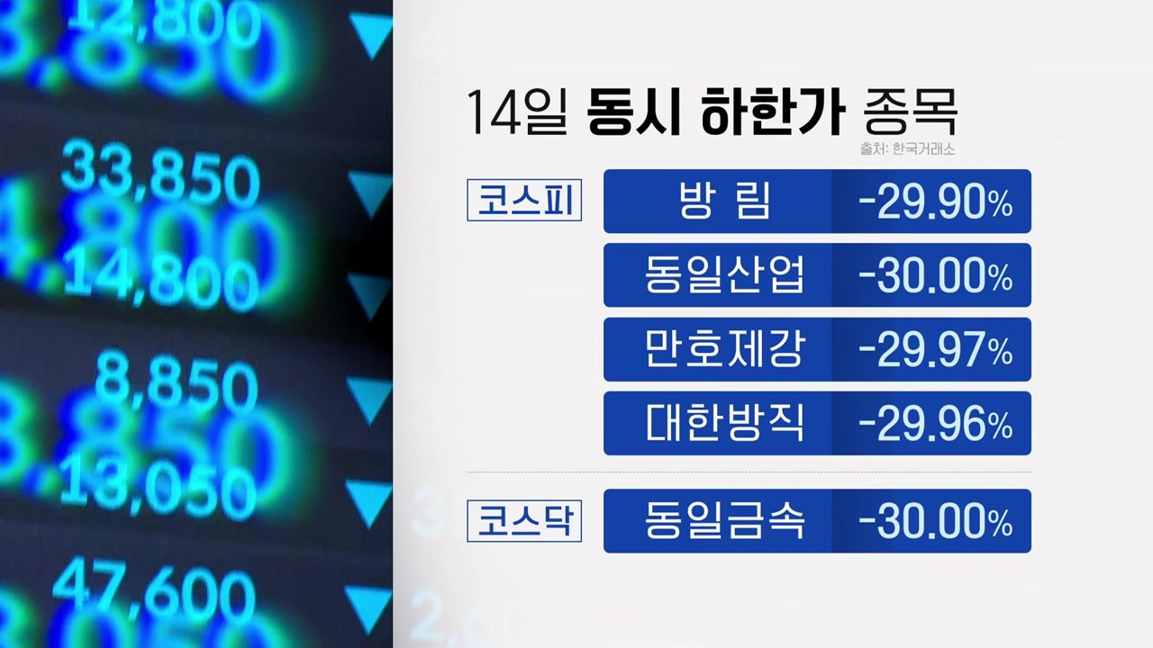 5개 종목 무더기 하한가...폭락 하루 만에 본격 수사 / YTN