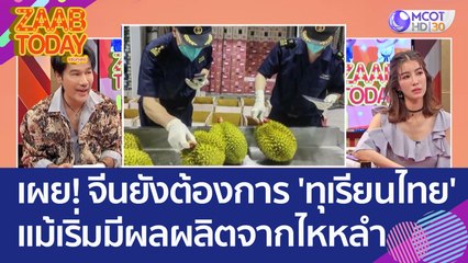 คนวงในเผย! ตลาดจีนยังต้องการ 'ทุเรียนไทย' แม้เริ่มมีผลผลิตจากไหหลำ (15 มิ.ย. 66) แซ่บทูเดย์