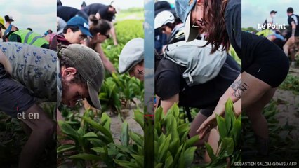 Violences contre des maraîchers : « L’impunité conduit à la guerre civile »