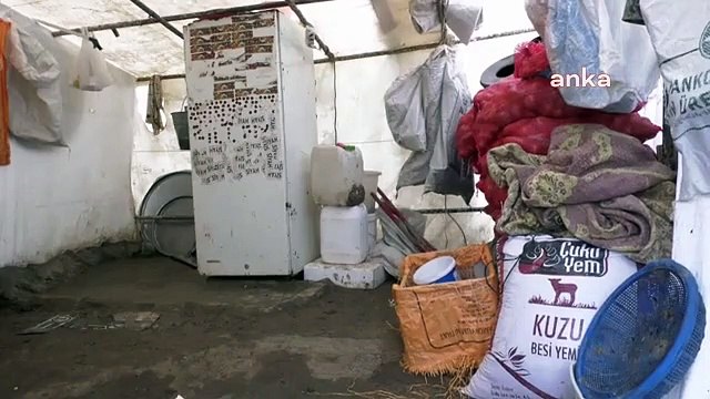 Ankara'da Sağanak Yağış Nedeniyle Mevsimlik Tarım İşçilerinin Çadırları Sular Altında Kaldı... Ne Zaman Yağmur Yağsa Uyumaya Korkuyoruz