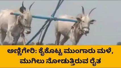 ಅಣ್ಣಿಗೇರಿ: ಕೈಕೊಟ್ಟ ಮುಂಗಾರು ಮಳೆ - ಮುಗಿಲು ನೋಡುತ್ತಿರುವ ರೈತ