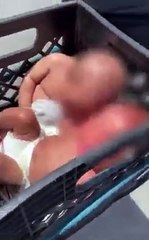 Mulher detida por passear filhos bebés em caixa de plástico