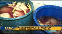 Intervienen local clandestino donde almacenaban pollos en condiciones insalubres en Los Olivos