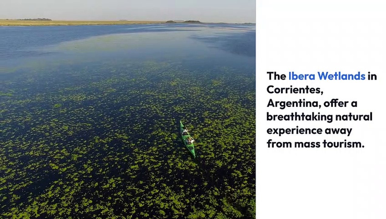 2023 Nba finals for Dummies