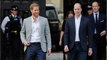 Portrait of Prince Harry and Prince William removed from gallery. Was it Kate Middleton’s fault?
