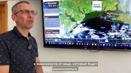 Новости дня | 16 июня — дневной выпуск