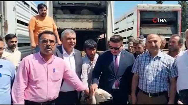 Depremde hayvanlarını kaybedenlere küçükbaş dağıtıldı