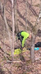 Tree Climber Rescues Cat